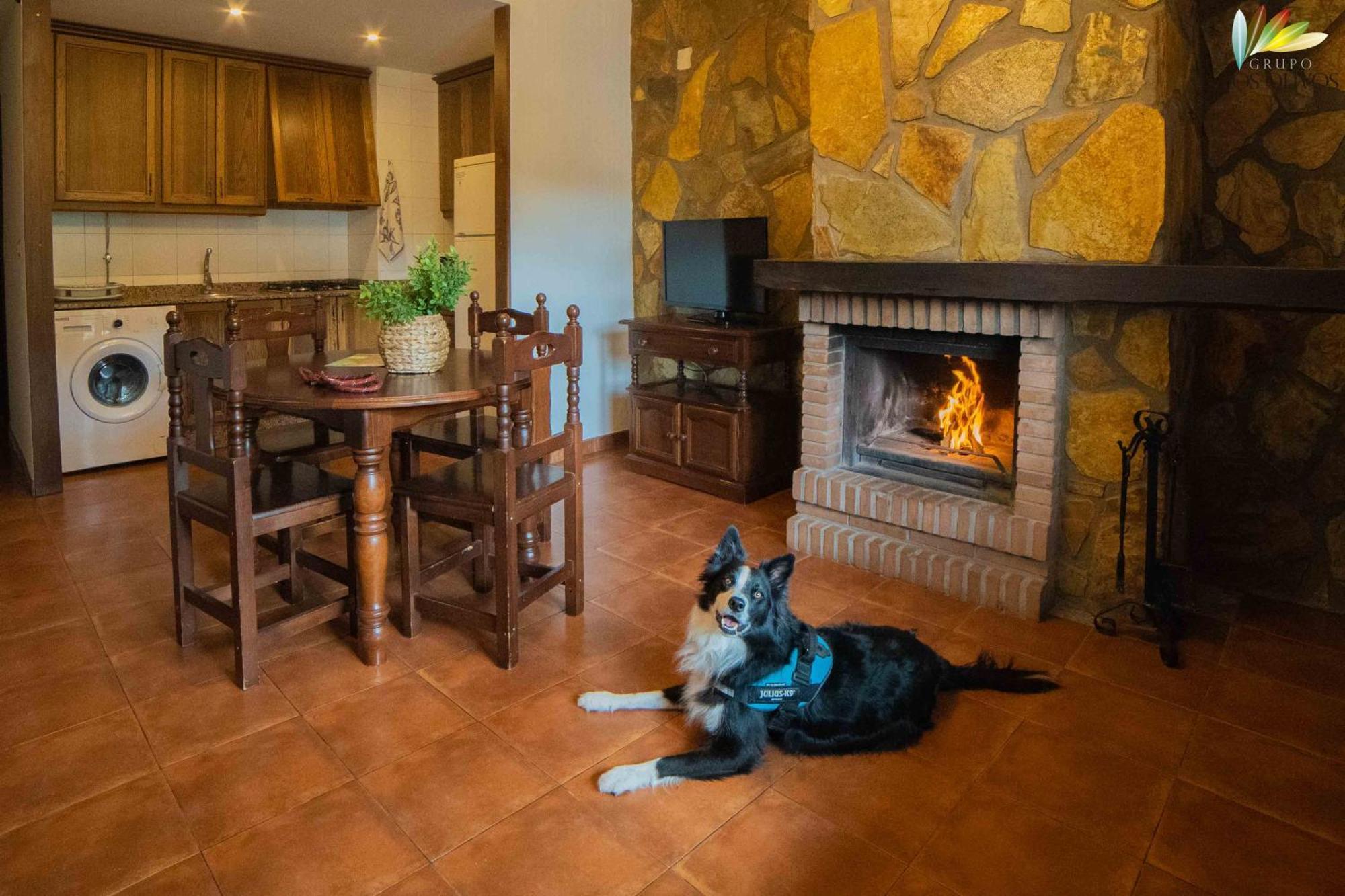 Apartamentos Los Olivos Alcala del Jucar Eksteriør billede